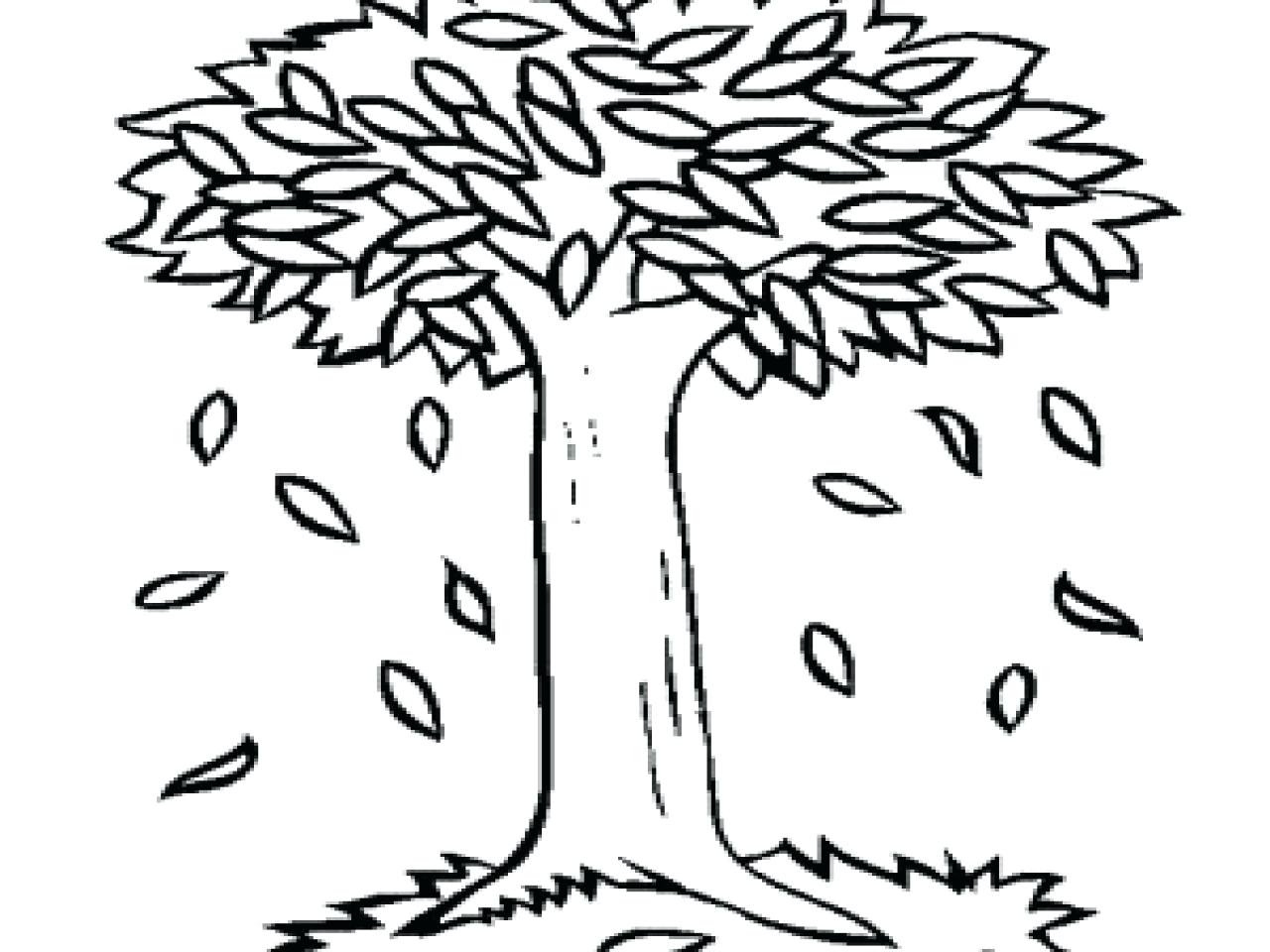 Autumn Tree Coloring Pages at GetColorings.com | Free printable ...