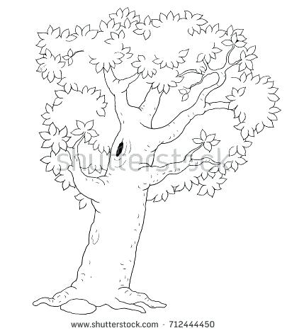 Cartoon Spider Pictures Coloring Pages Tree Leaves Coloring Tree 405x470 Cartoon Spider Pictures Coloring Pages Tree Leaves Coloring Tree