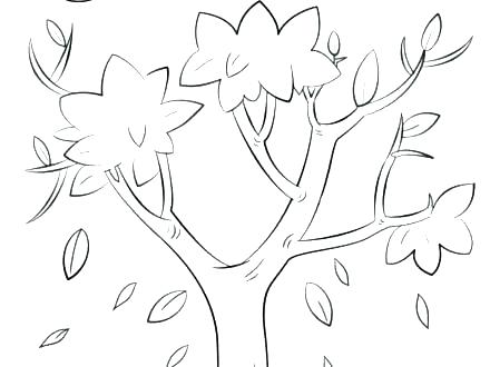 Coloring Pages Of Trees Without Leaves Coloring Page Tree Coloring 440x330 Coloring Pages Of Trees Without Leaves Coloring Page Tree Coloring