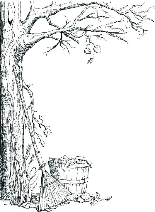 Coloring Pages Tree Fall Tree Coloring Pages Trees Coloring Pages 529x722 Coloring Pages Tree Fall Tree Coloring Pages Trees Coloring Pages