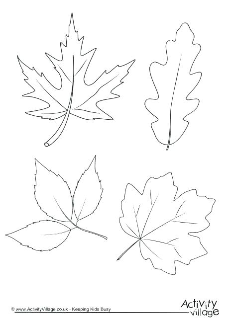 Fall Tree Coloring Page Fall Tree Coloring Page Autumn Leaves 460x650 Fall Tree Coloring Page Fall Tree Coloring Page Autumn Leaves