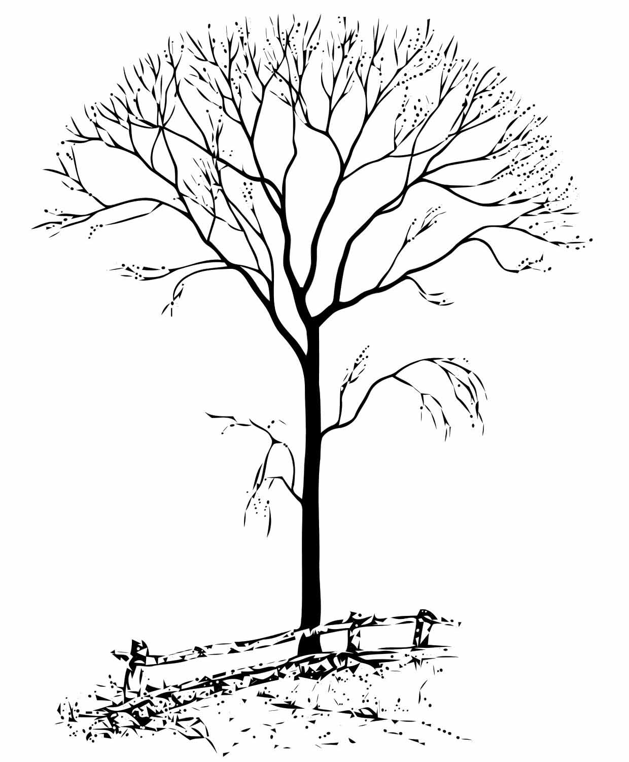 Fall Tree Coloring Pages 1240x1502 Fall Tree Coloring Pages