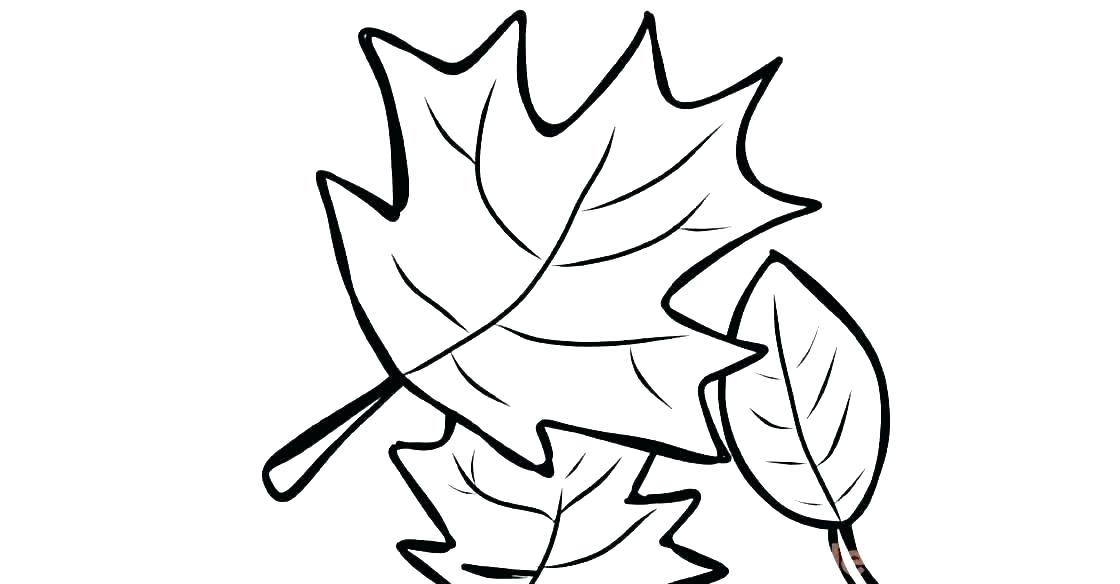 Leaves Coloring Pages Cute Coloring Autumn Trees Coloring Pages 1120x584 Leaves Coloring Pages Cute Coloring Autumn Trees Coloring Pages
