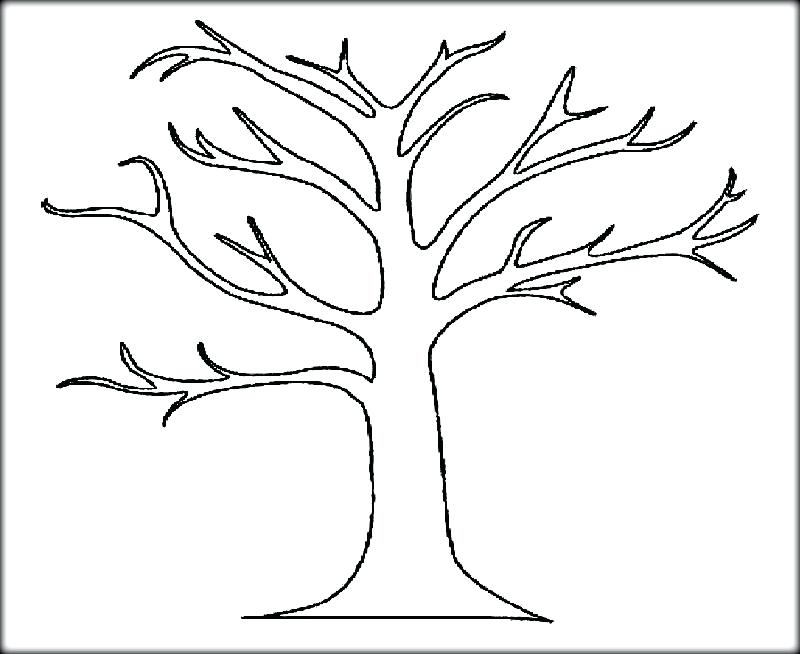 Tree Coloring Pages Fall Tree Coloring Page Bare Tree Coloring 800x654 Tree Coloring Pages Fall Tree Coloring Page Bare Tree Coloring