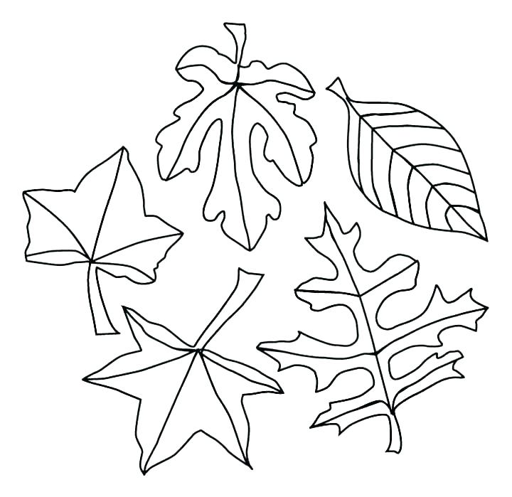 Tree Without Leaves Coloring Page Trees Coloring Pages Click 720x699 Tree Without Leaves Coloring Page Trees Coloring Pages Click