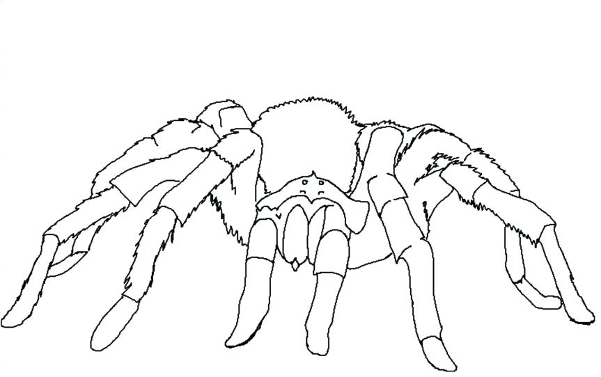 Page 2 Black Widow Logo Coloring Marvel Colouring Pages Free 863x542 Page 2 Black Widow Logo Coloring Marvel Colouring Pages Free