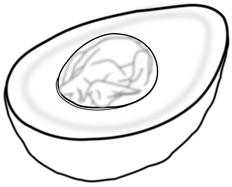 745x600 Avocado Wallpapercraft