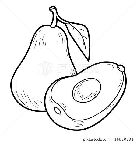 450x468 Coloring Book Game (Avocado)