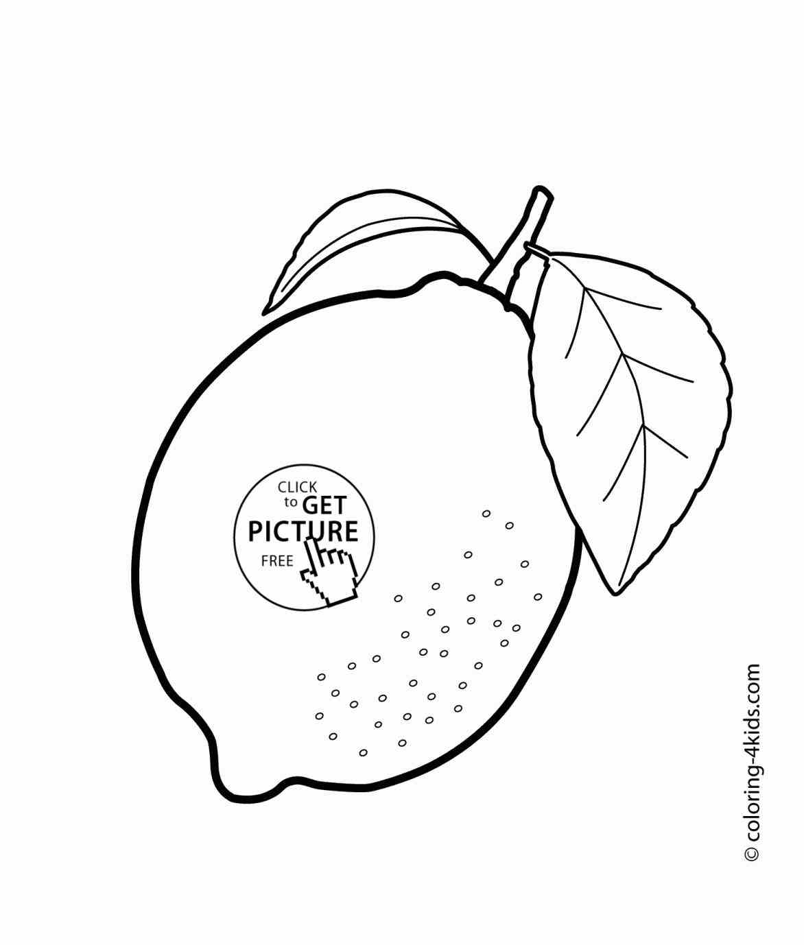 1172x1378 Avocado Coloring Page Web Coloring Pages