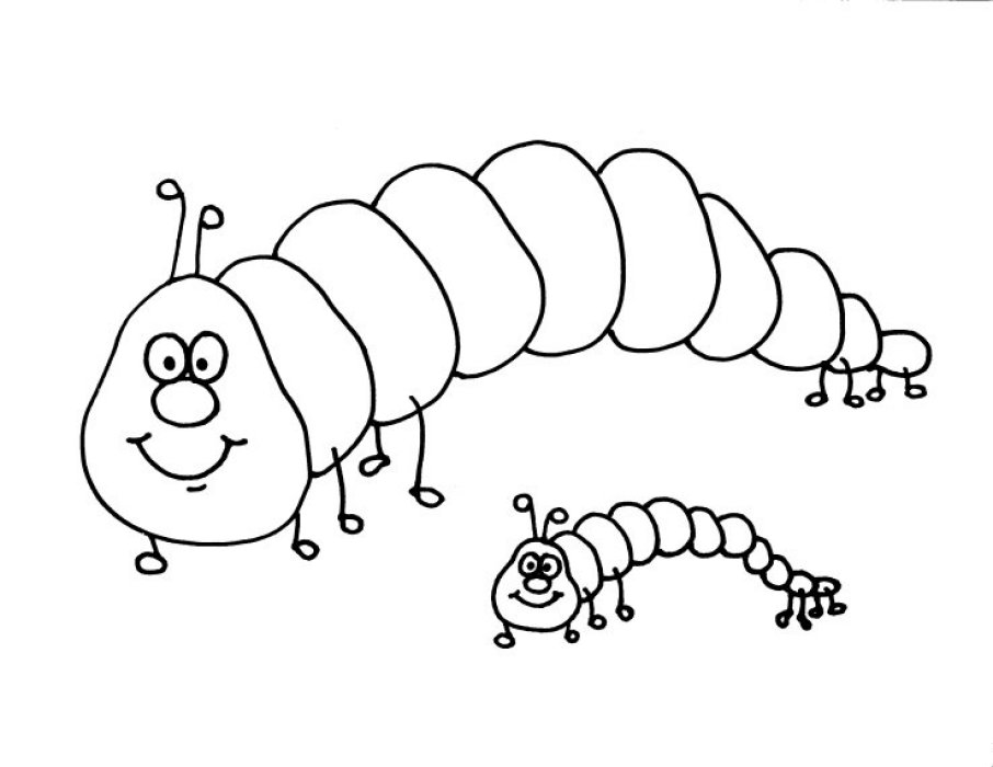 906x700 Caterpillar Coloring Pages