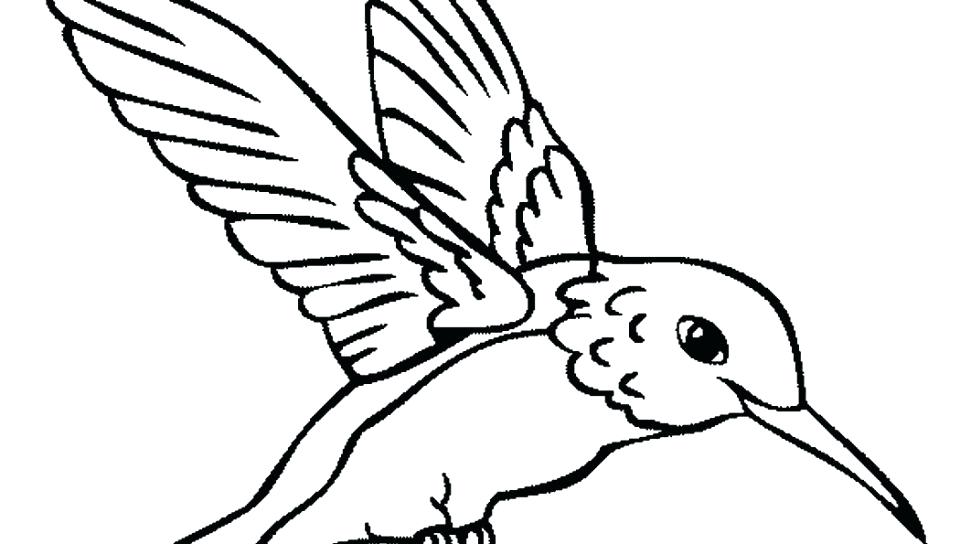 Cardinal Bird Of Coloring Page Free Coloring Pages Free Coloring 960x544 Cardinal Bird Of Coloring Page Free Coloring Pages Free Coloring