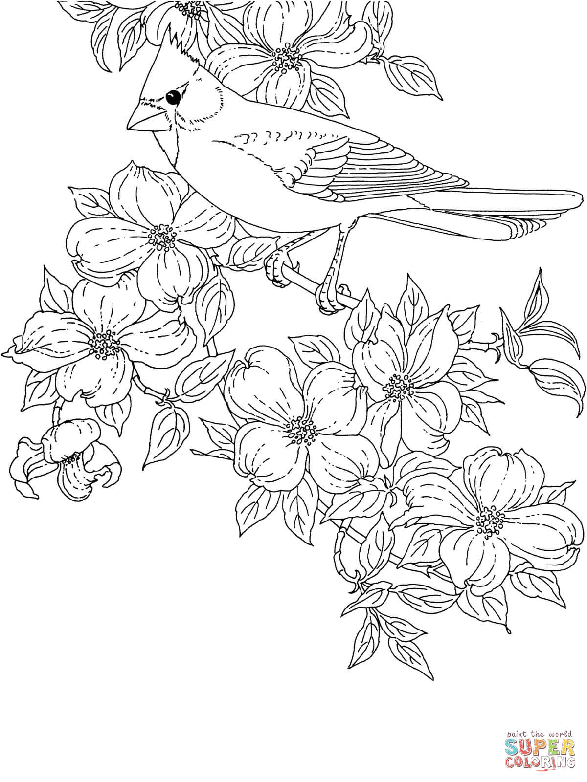 Unusual Cardinal Coloring Pages Az Cardinals Christmas St Louis 1200x1600 Unusual Cardinal Coloring Pages Az Cardinals Christmas St Louis