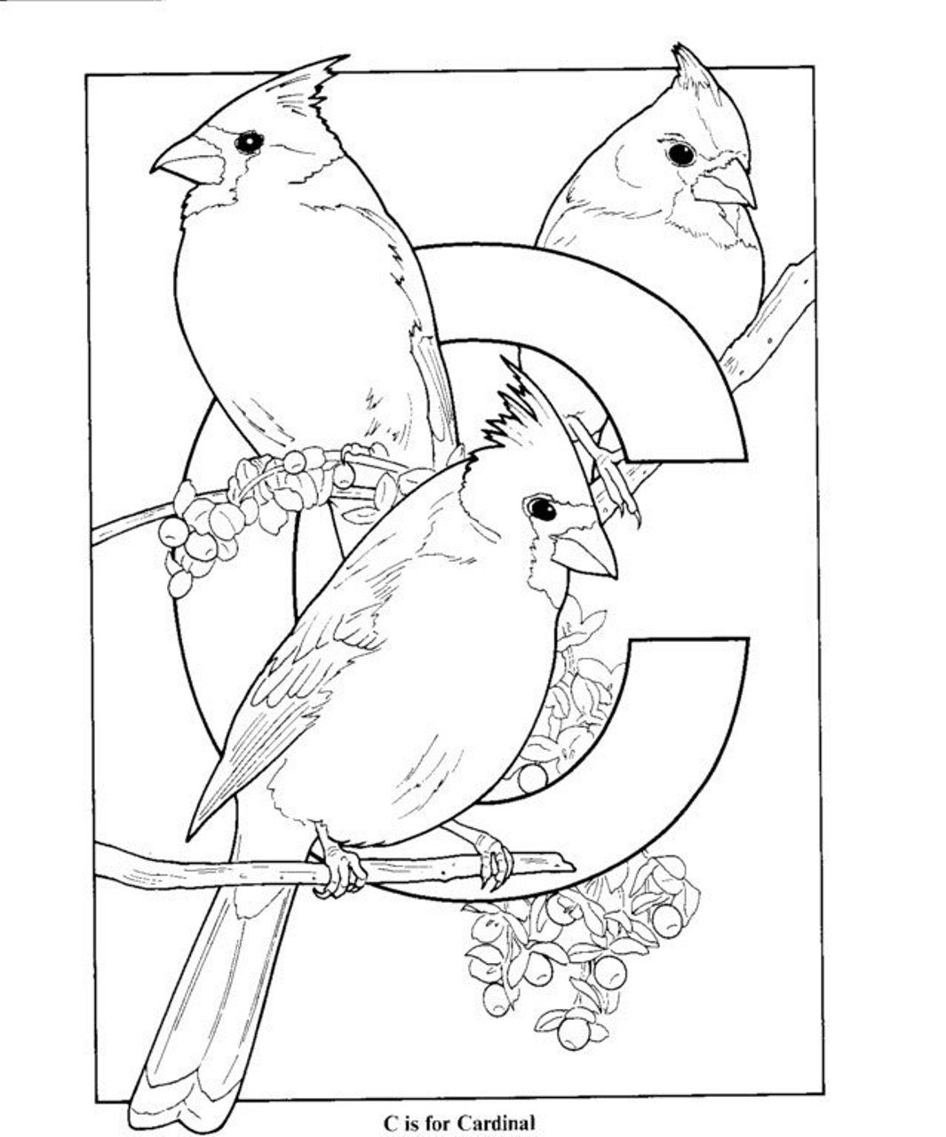 Unusualal Coloring Pages Northern Page For Kids Arizonaals 1065x1281 Unusualal Coloring Pages Northern Page For Kids Arizonaals