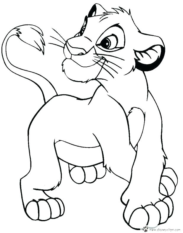 618x790 Baby Lion Coloring Pages Lion Color Sheet To Download Lion