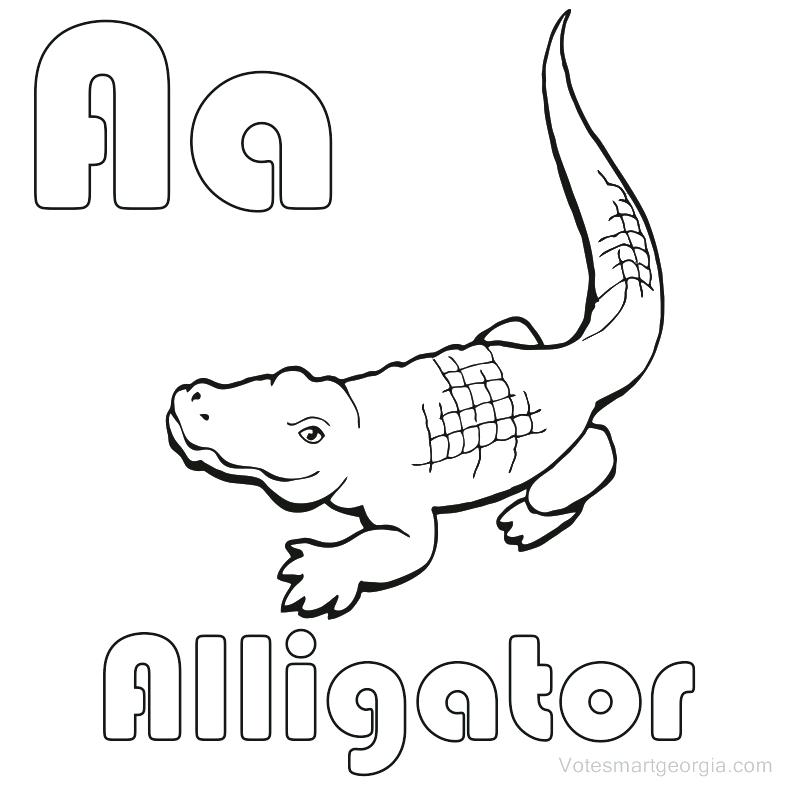 787x787 Alligator Coloring Pages Cartoon Alligator Coloring Page Baby