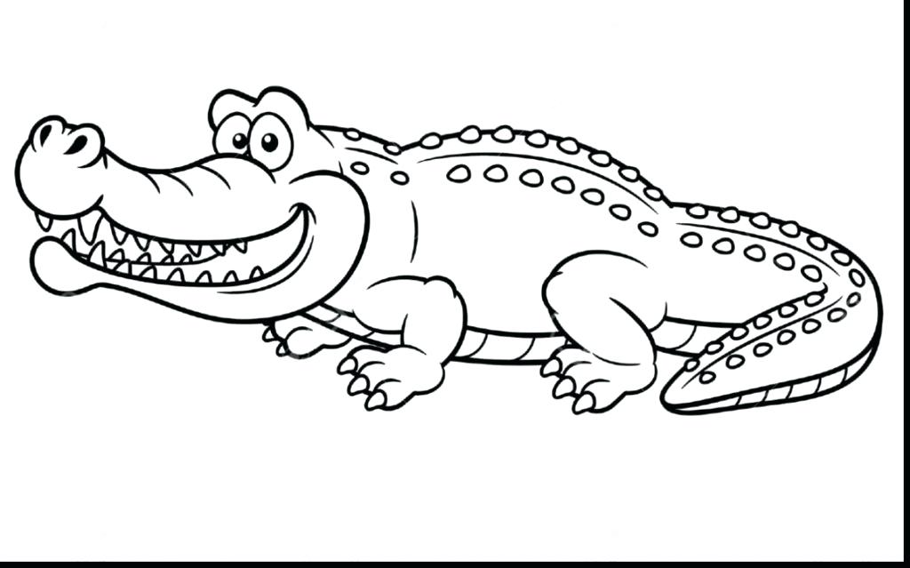 Baby Alligator Coloring Pages at GetColorings.com | Free printable ...