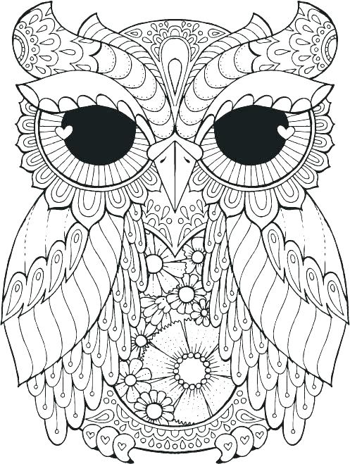 Coloring Pages Of Owls Good Owls Coloring Pages Or Coloring Pages 497x659 Coloring Pages Of Owls Good Owls Coloring Pages Or Coloring Pages