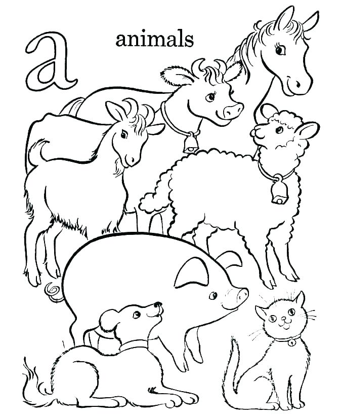 670x820 Ocean Coloring Pages For Kindergarten Ocean Animals Coloring Page