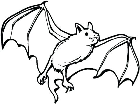 Bat Coloring Pages Vampire Bat Coloring Page Cute Baby Bat 480x355 Bat Coloring Pages Vampire Bat Coloring Page Cute Baby Bat