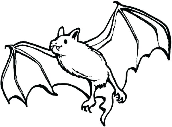 Bat Coloring Pages X Bat Coloring Page Printable Free Www.masdos 600x444 Bat Coloring Pages X Bat Coloring Page Printable Free Www.masdos