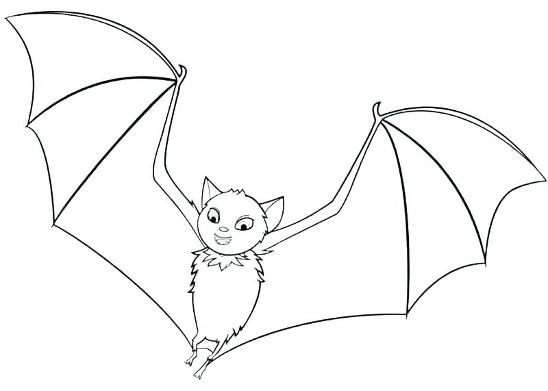 Bats Coloring Pages Bat Coloring Sheet Coloring Pages Bats 800x571 Bats Coloring Pages Bat Coloring Sheet Coloring Pages Bats