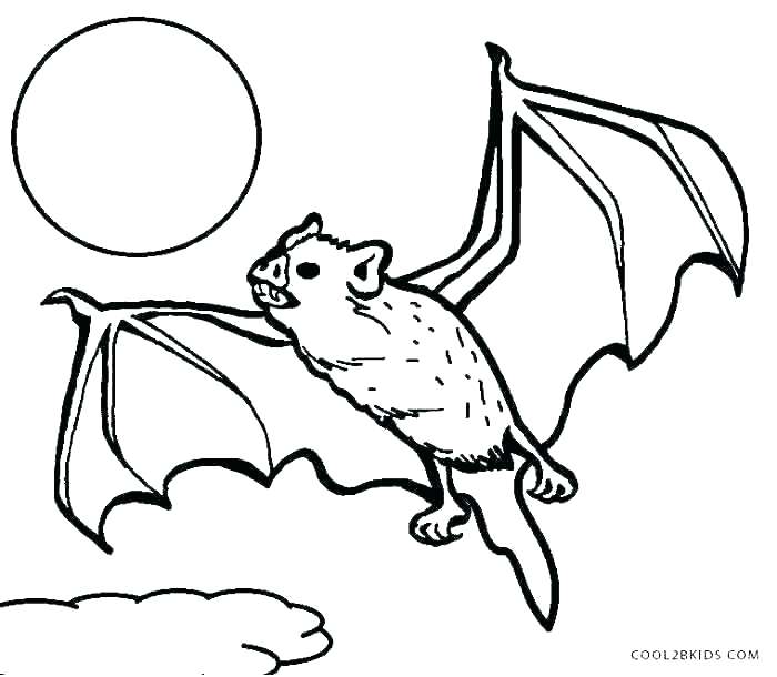 Bats Coloring Page 700x610 Bats Coloring Page