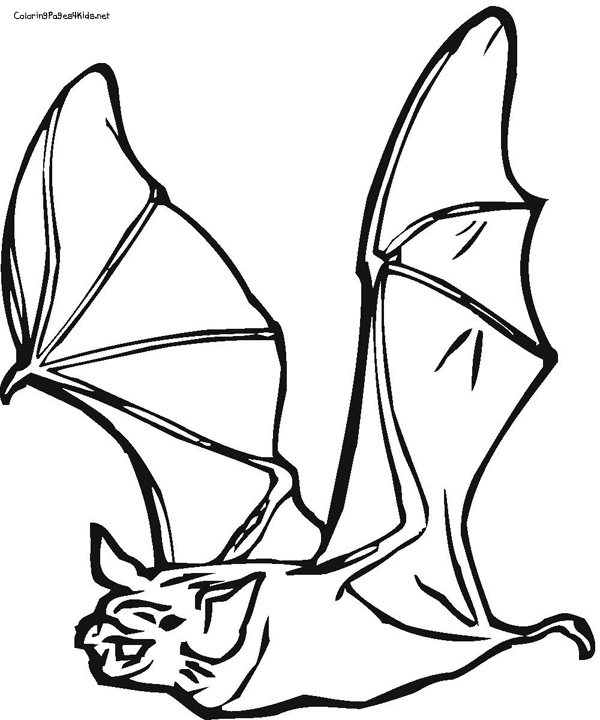 Bat Coloring Pages 600x720 Bat Coloring Pages