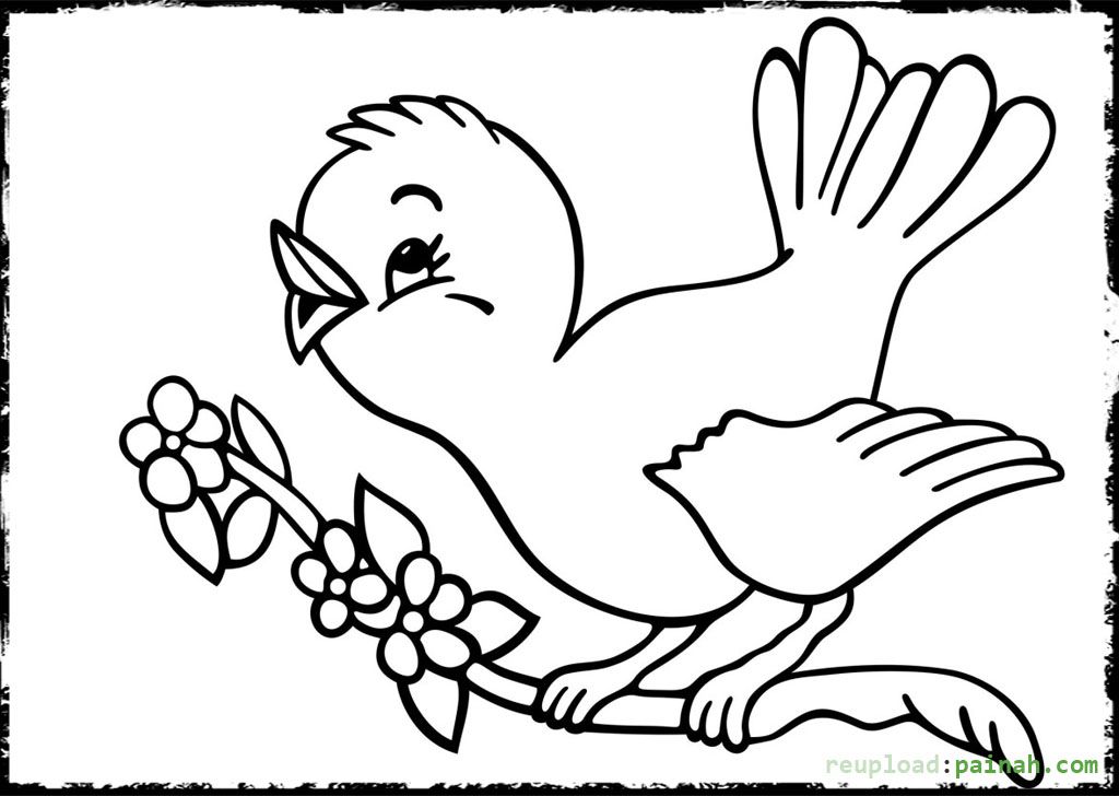 Baby Bird Coloring Pages Printable Coloring Pages 1024x728 Baby Bird Coloring Pages Printable Coloring Pages