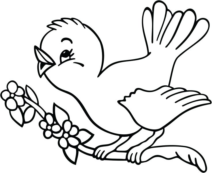 Bird Coloring Pages Baby Bird Coloring Pages Printable Coloring 736x600 Bird Coloring Pages Baby Bird Coloring Pages Printable Coloring