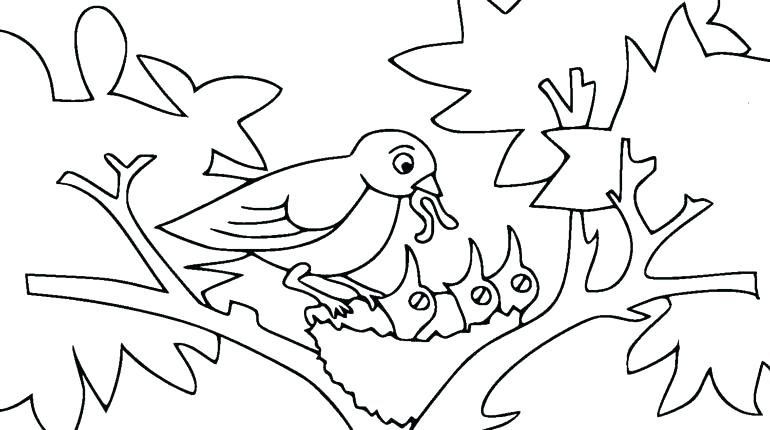 Bird Nest Coloring Page Bird Nest Coloring Page Baby Bird Coloring 770x430 Bird Nest Coloring Page Bird Nest Coloring Page Baby Bird Coloring