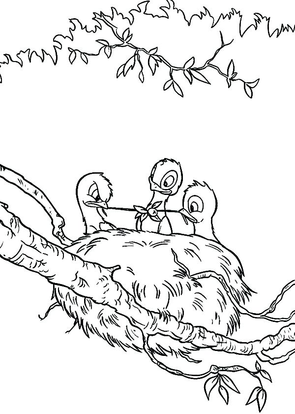Baby Bird Coloring Page Baby Bird Eating In Their Bird Nest 600x841 Baby Bird Coloring Page Baby Bird Eating In Their Bird Nest