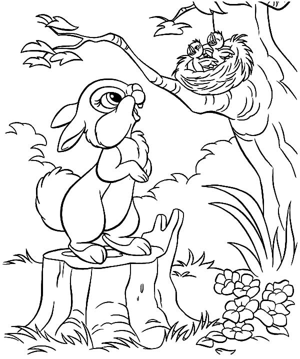 Little Rabbit Saw Bird Nest And Baby Bird Coloring Pages Best 600x718 Little Rabbit Saw Bird Nest And Baby Bird Coloring Pages Best