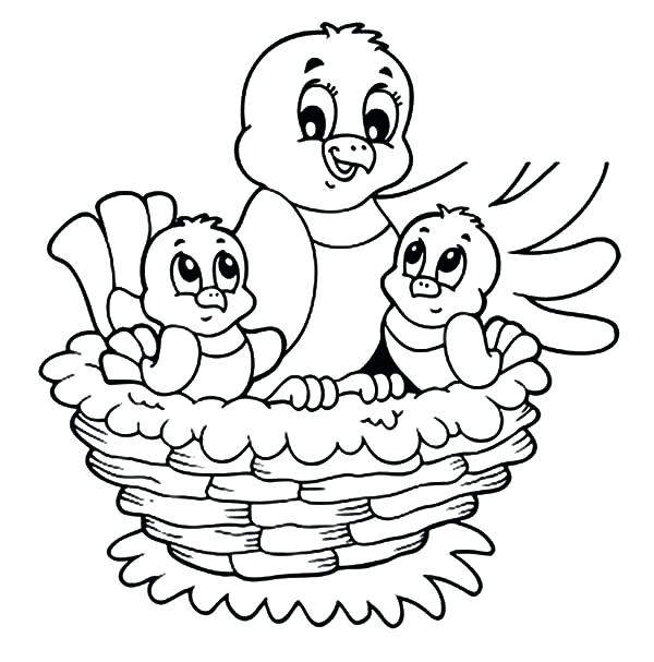 Baby Bird Coloring Page Birds In Nest Coloring Pages Printable 600x607 Baby Bird Coloring Page Birds In Nest Coloring Pages Printable