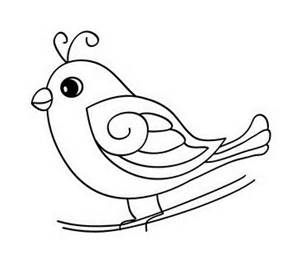 Baby Bird Coloring Pages 300x268 Baby Bird Coloring Pages