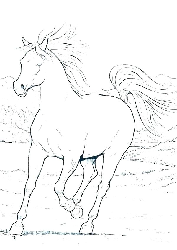 Coloring Horse Pages Horse And Carriage Coloring Pages Free Kids 600x847 Coloring Horse Pages Horse And Carriage Coloring Pages Free Kids