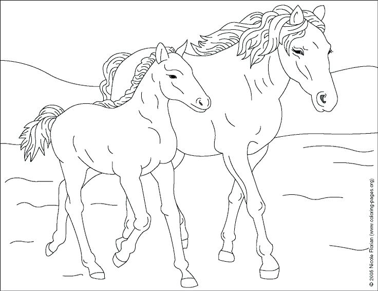 Coloring Pages For Horses Coloring Horse Baby Horse Coloring Pages 736x566 Coloring Pages For Horses Coloring Horse Baby Horse Coloring Pages