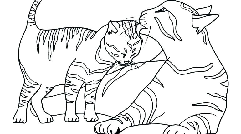 770x430 Kitten Coloring Pages Printable Coloring Page Kitten Coloring Page