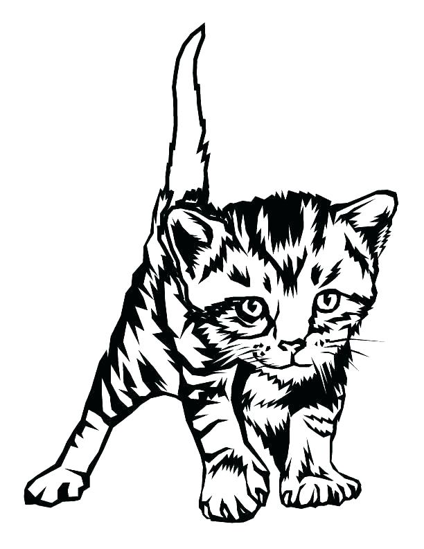 612x793 Marvelous Baby Cat Coloring Pages Coloring Pages Kitten Coloring