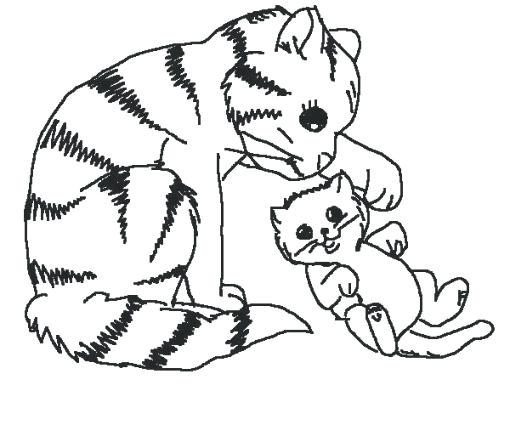 510x425 Baby Cat Coloring Pages Cat Coloring Page Baby Cat Coloring Page