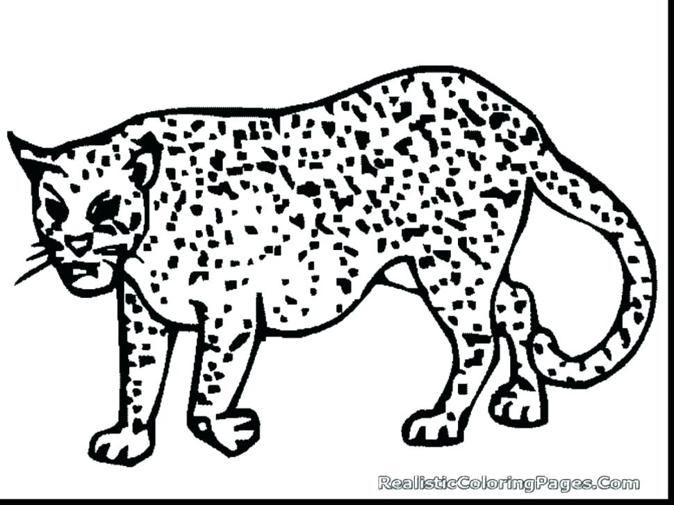 Baby Cheetah Coloring Pages at GetColorings.com | Free printable ...