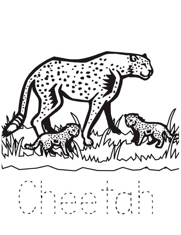 Cheetah And Her Babies Coloring Page 600x776 Cheetah And Her Babies Coloring Page