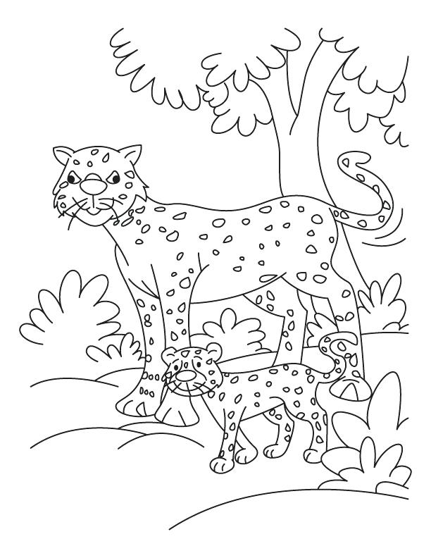 Coloring Pages Cheetah Coloring Pages Cheetah Coloring Pages 612x792 Coloring Pages Cheetah Coloring Pages Cheetah Coloring Pages