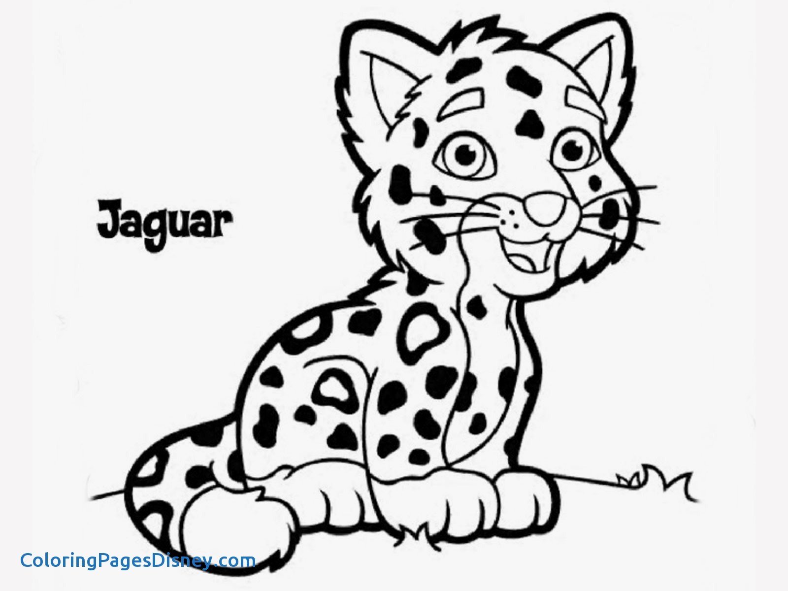 Fresh Cheetah Coloring Pages 1600x1200 Fresh Cheetah Coloring Pages