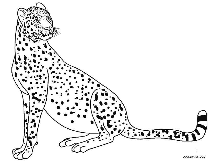 Printable Cheetah Coloring Pages For Kids Cool2bkids 830x640 Printable Cheetah Coloring Pages For Kids Cool2bkids