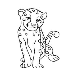 Cheetah Color Sheet Cheetah Coloring Pages Coloring Pages 236x221 Cheetah Color Sheet Cheetah Coloring Pages Coloring Pages