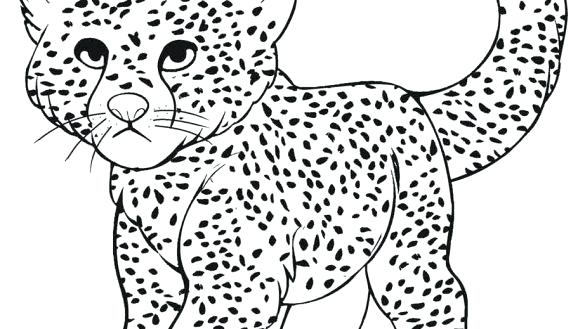 Cartoon Cheetah Coloring Pages Not Found A Coloring Pages 585x329 Cartoon Cheetah Coloring Pages Not Found A Coloring Pages