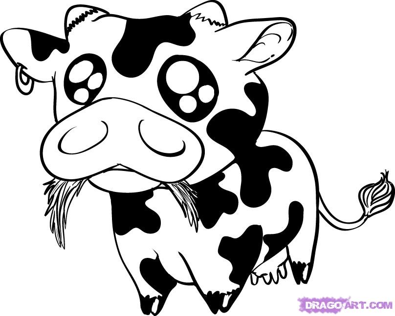 808x647 Baby Cow Coloring Pages A Baby Cow, Step By