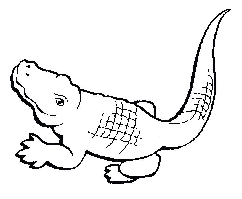 817x674 Crocodile Coloring Pages Reptiles Aboriginal Crocodile Coloring