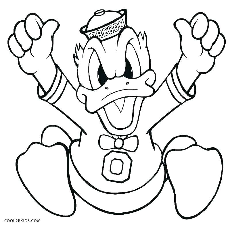 800x791 Duck Coloring Pages Duck Coloring Pages Duck Coloring Pages Baby