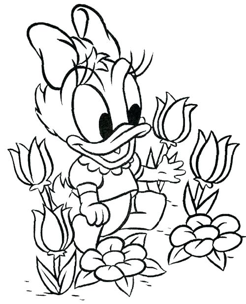 Baby Daisy Duck Coloring Pages Baby Daisy Duck Coloring Pages 500x619 Baby Daisy Duck Coloring Pages Baby Daisy Duck Coloring Pages